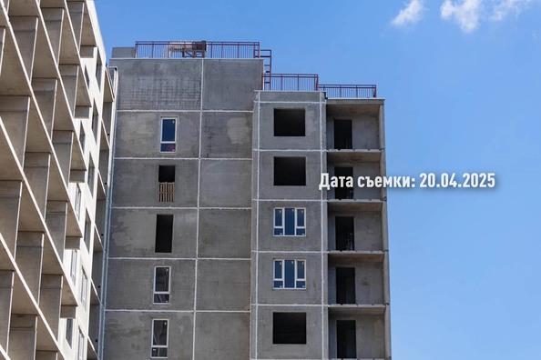 25 апреля 2025
