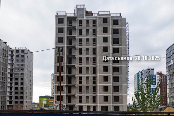 Ход строительства 24 октября 2025