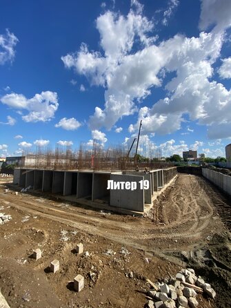 23 мая 2025