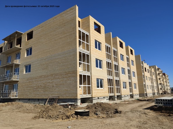 9 октября 2025