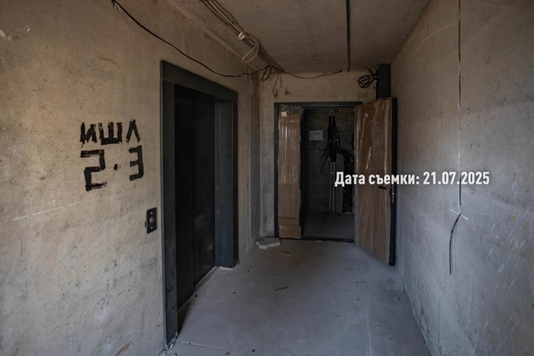 28 июля 2025