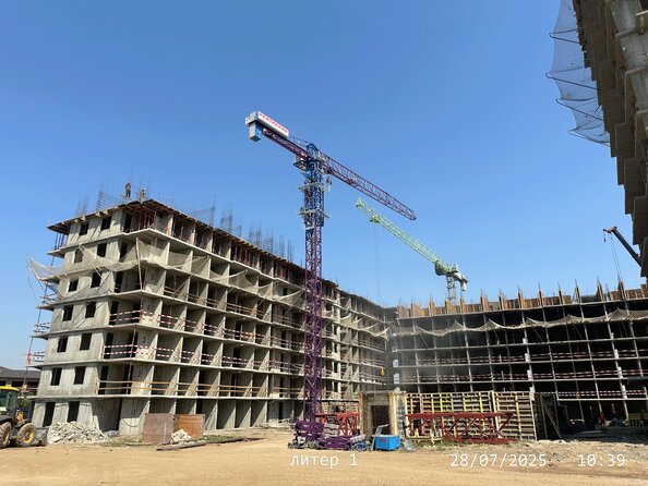 28 июля 2025