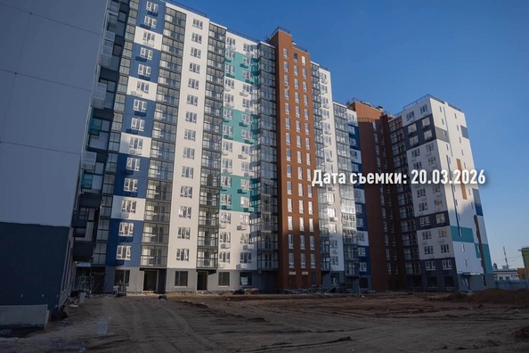 25 марта 2026