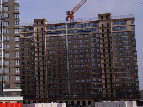 28 января 2025