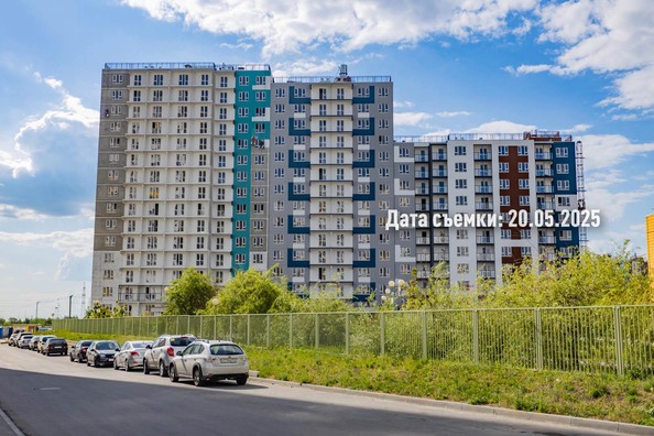 26 мая 2025