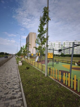 5 июня 2026