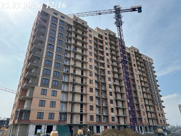 26 марта 2026
