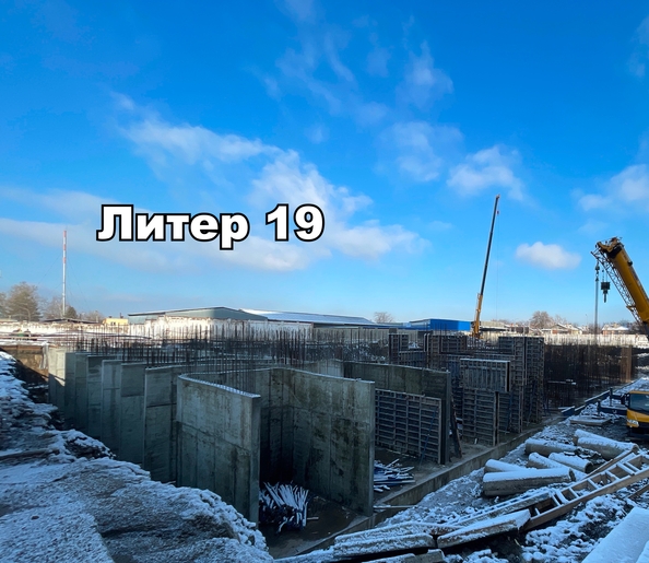 24 января 2025