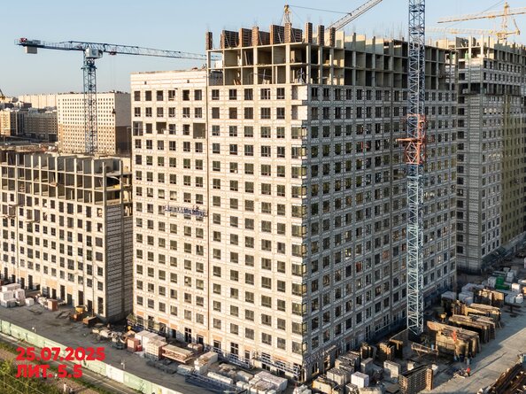 26 июля 2025