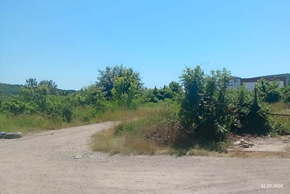 3 августа 2026