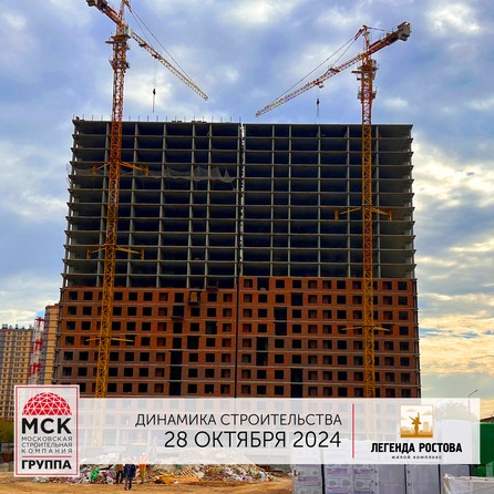 5 ноября 2024