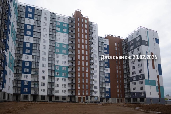 26 февраля 2026