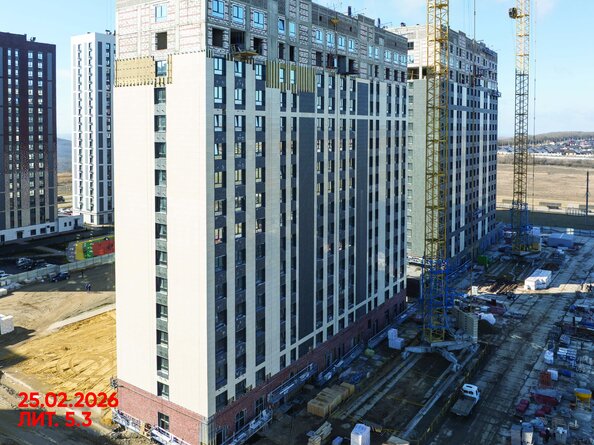 26 февраля 2026