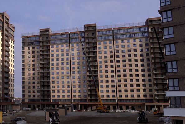 28 января 2025