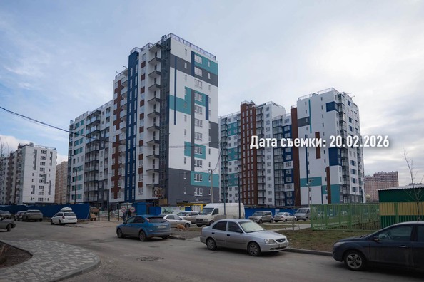 26 февраля 2026