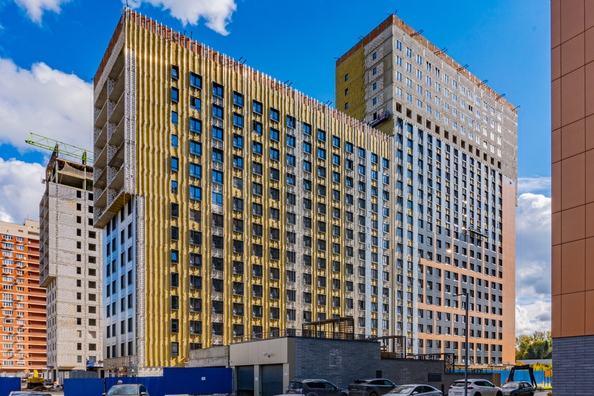 28 октября 2025