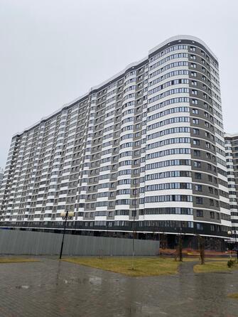 5 февраля 2023