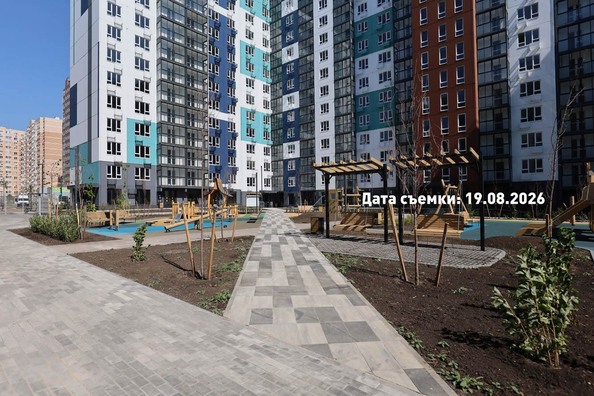 21 августа 2026