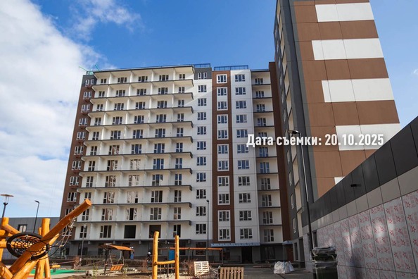 24 октября 2025