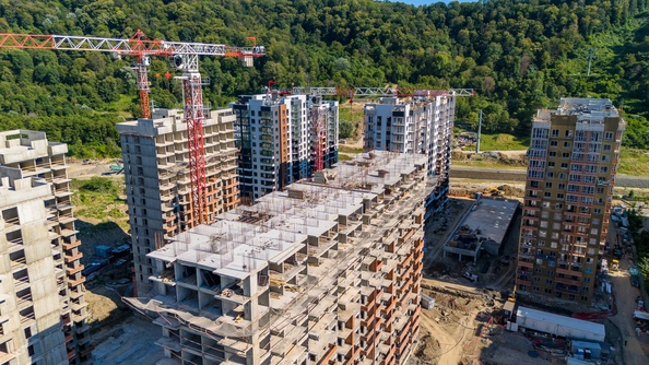25 июля 2025