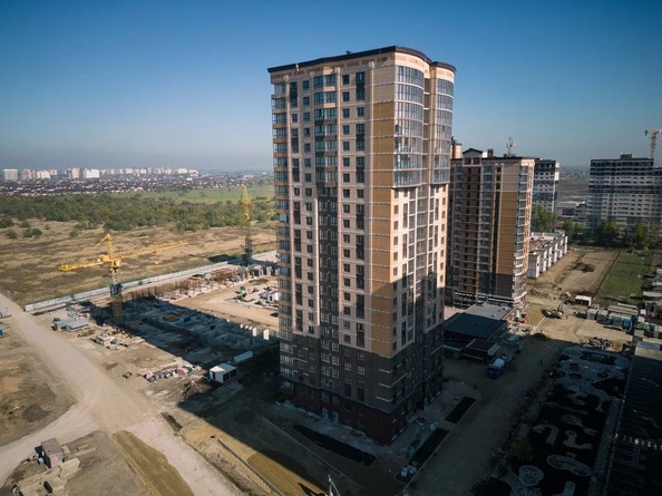 24 ноября 2022