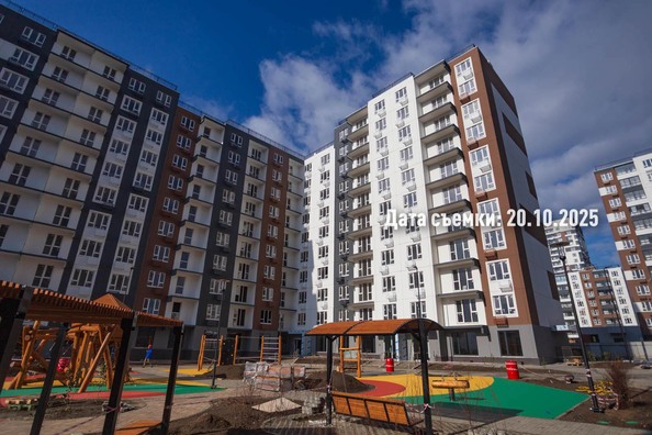 24 октября 2025