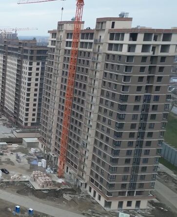 27 ноября 2024