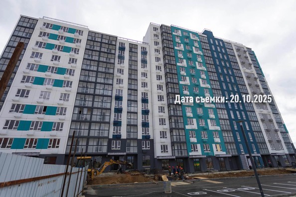 24 октября 2025