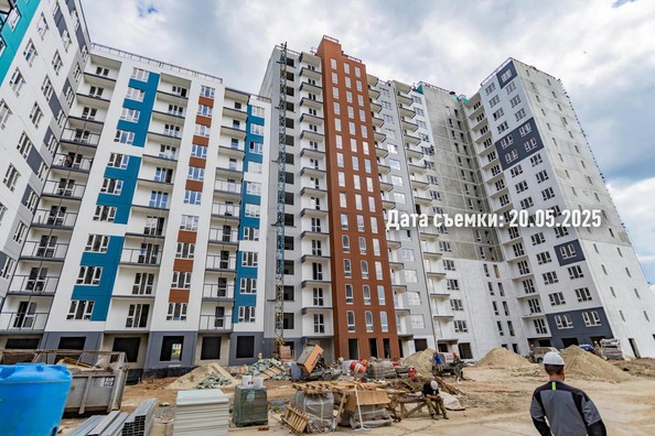 26 мая 2025