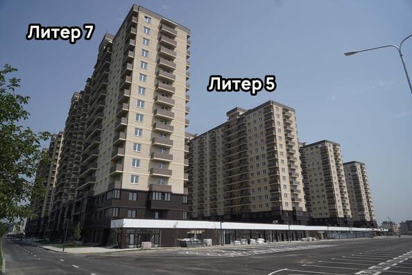 23 августа 2023