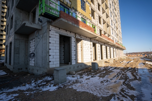Ход строительства 29 января 2024