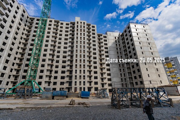 26 мая 2025