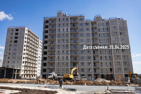 25 апреля 2025