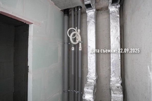 26 сентября 2025