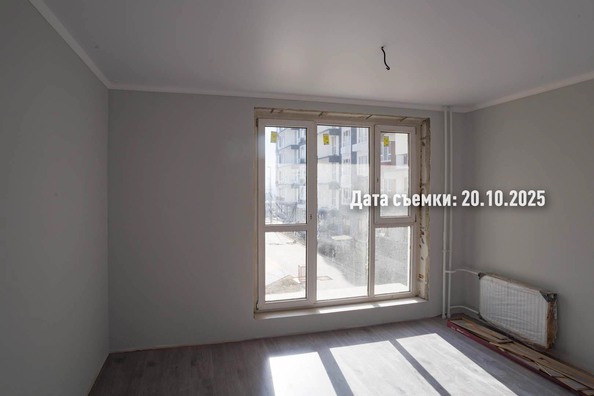 24 октября 2025