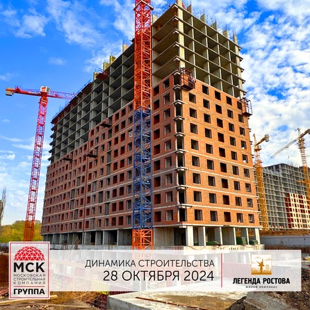 5 ноября 2024