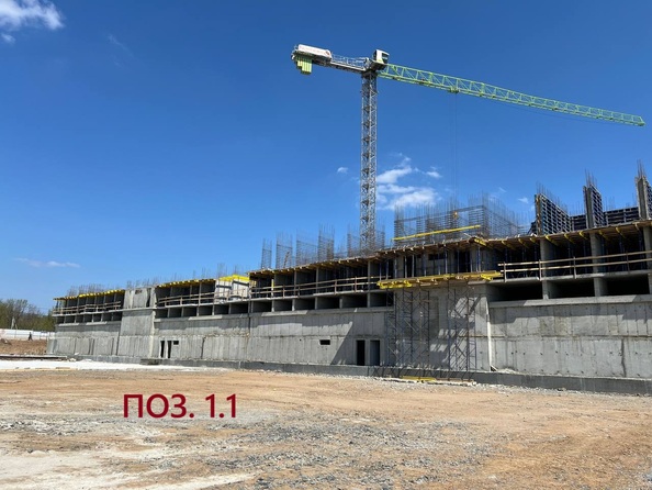 24 апреля 2025