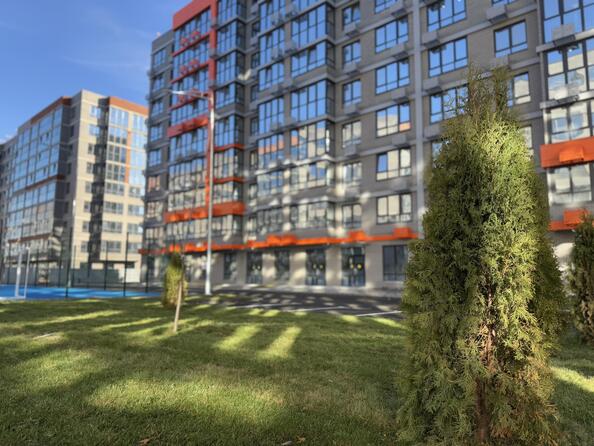 Ход строительства 20 декабря 2024
