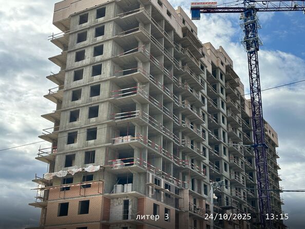 24 октября 2025