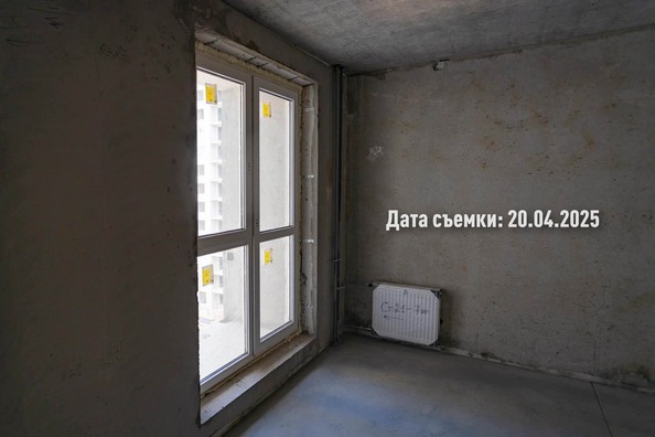 25 апреля 2025