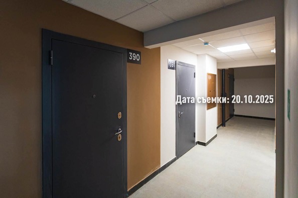 Ход строительства 24 октября 2025