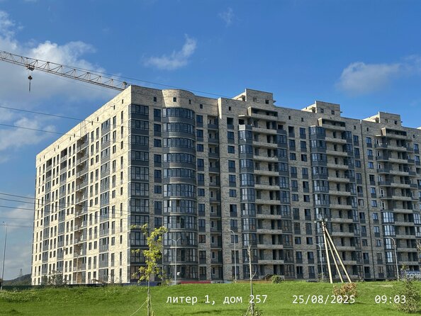 25 августа 2025