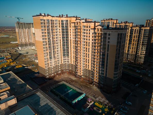 21 ноября 2024