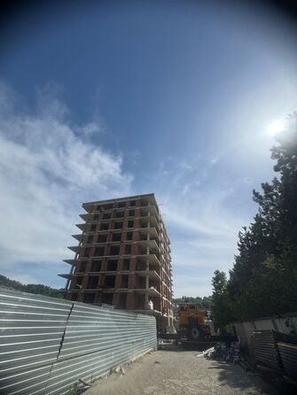29 мая 2025