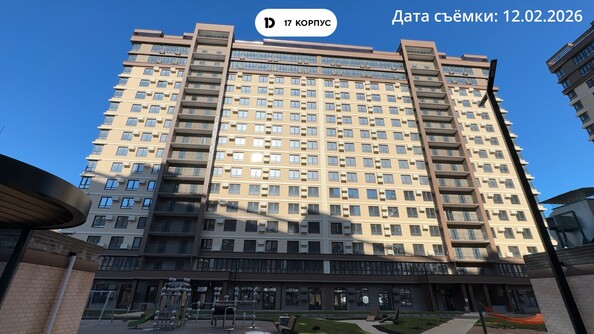 25 февраля 2026