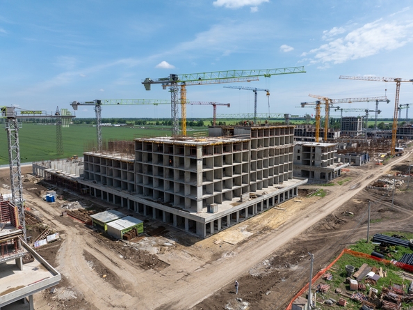 29 мая 2025