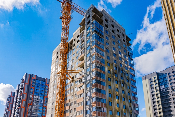 29 октября 2025