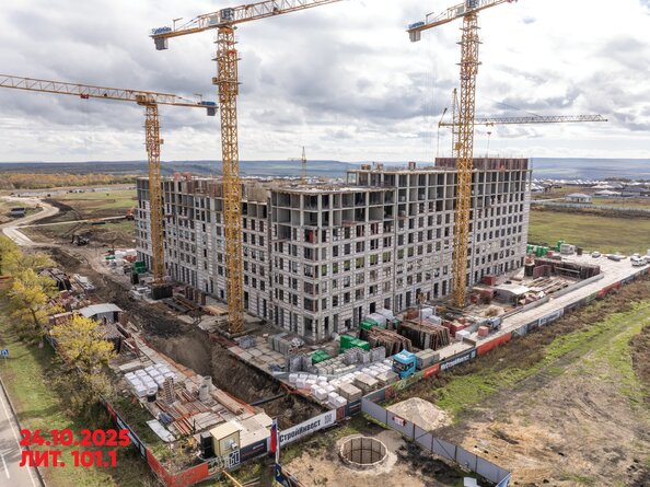 28 октября 2025