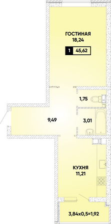 Планировка 1-комн 45,62 м²