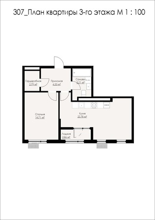 Планировка 1-комн 54,88 м²